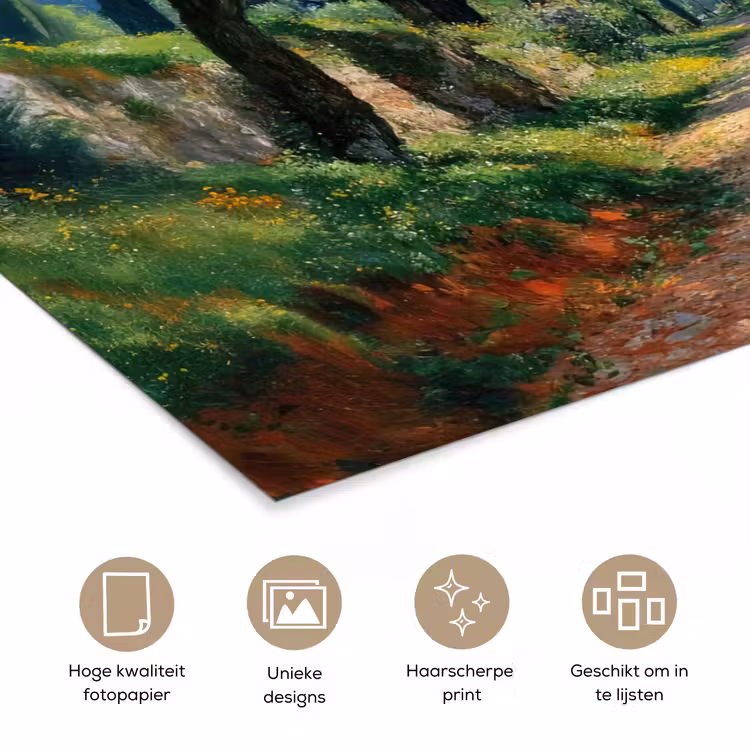 Poster - Pad - Bomen - Schaduw - — 5
