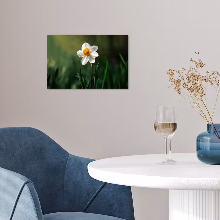 Poster - Narcis - Bloem - Wit - Grassprieten — 4
