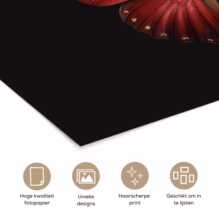 Poster - Vlinder - Rood - Minimalistisch — 5
