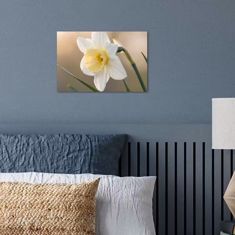 Poster - Narcis - Bloem - Minimalistisch — 3