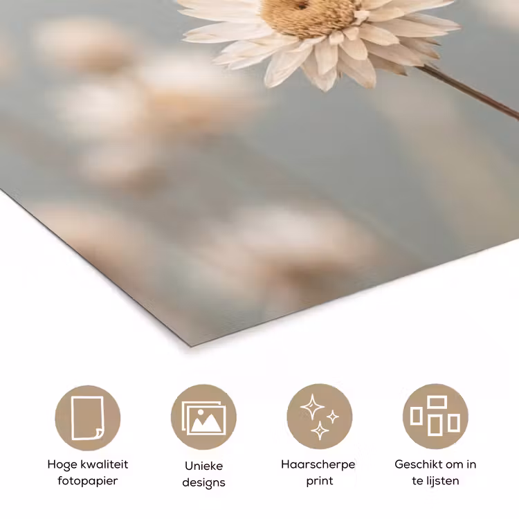 Poster - Strobloemen - Wit - Daglicht — 5