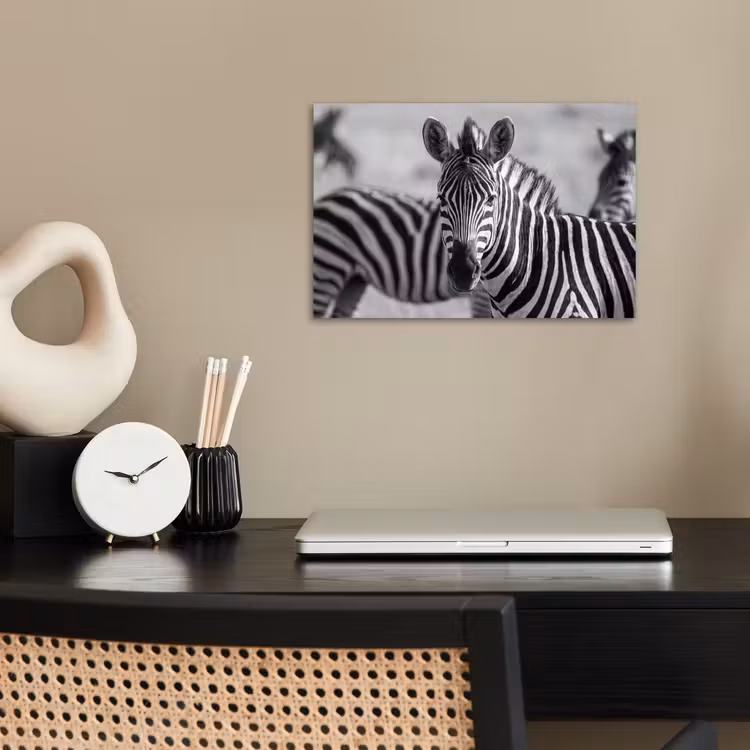 Poster - Zebra's - Zwart - Wit — 2