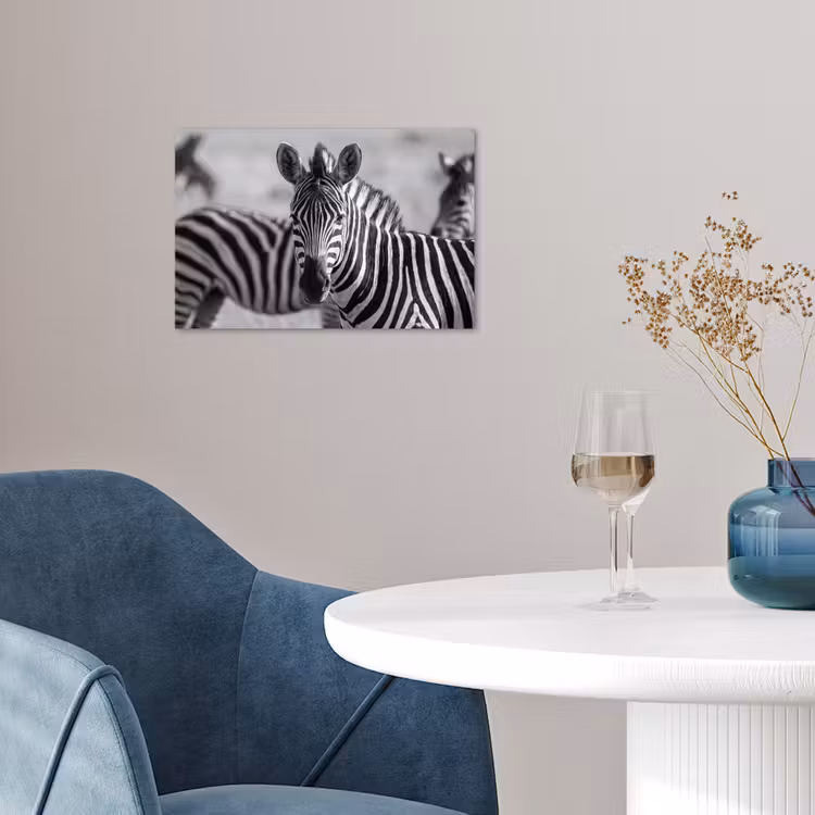 Poster - Zebra's - Zwart - Wit — 4