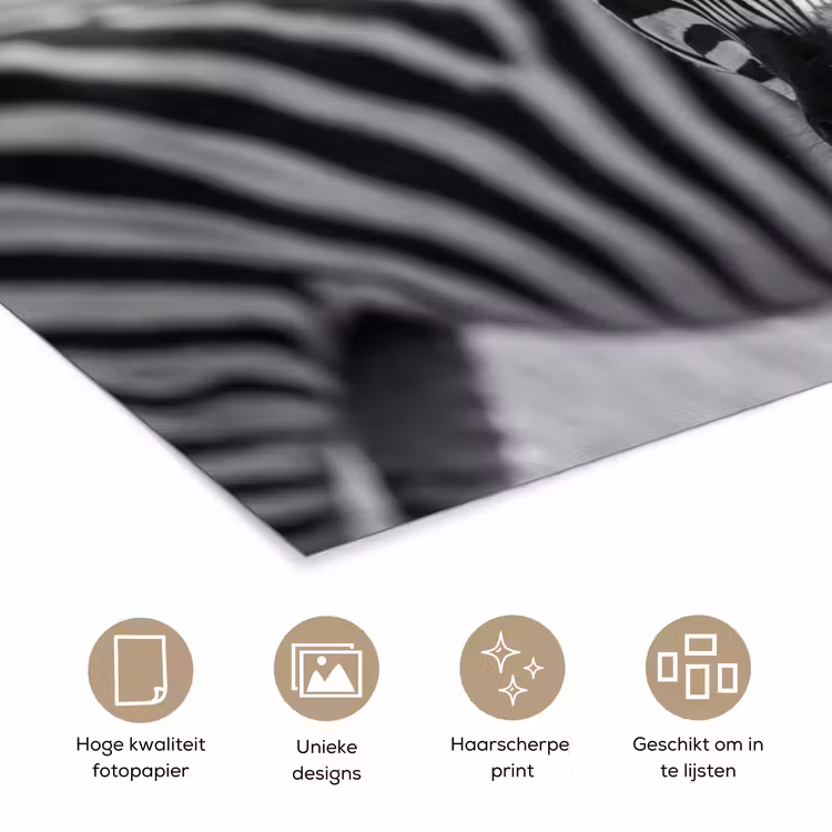 Poster - Zebra's - Zwart - Wit — 5