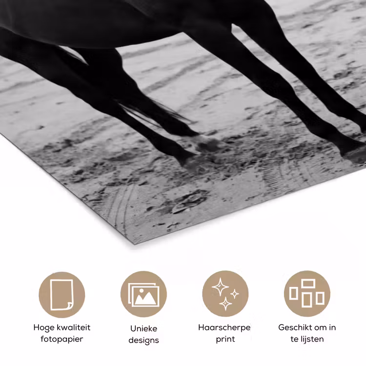 Poster - Paard - Auto - Zwart - Wit — 5