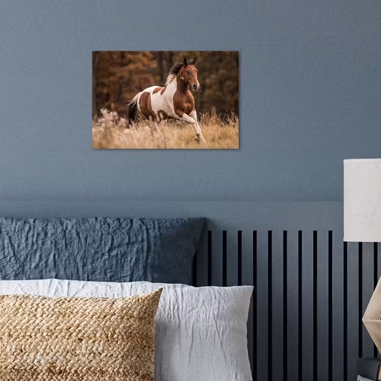 Poster - Paard - Bruin - Gras — 3