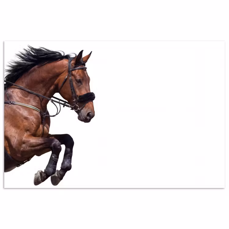 Poster - Paard - Springen - Modern — 1