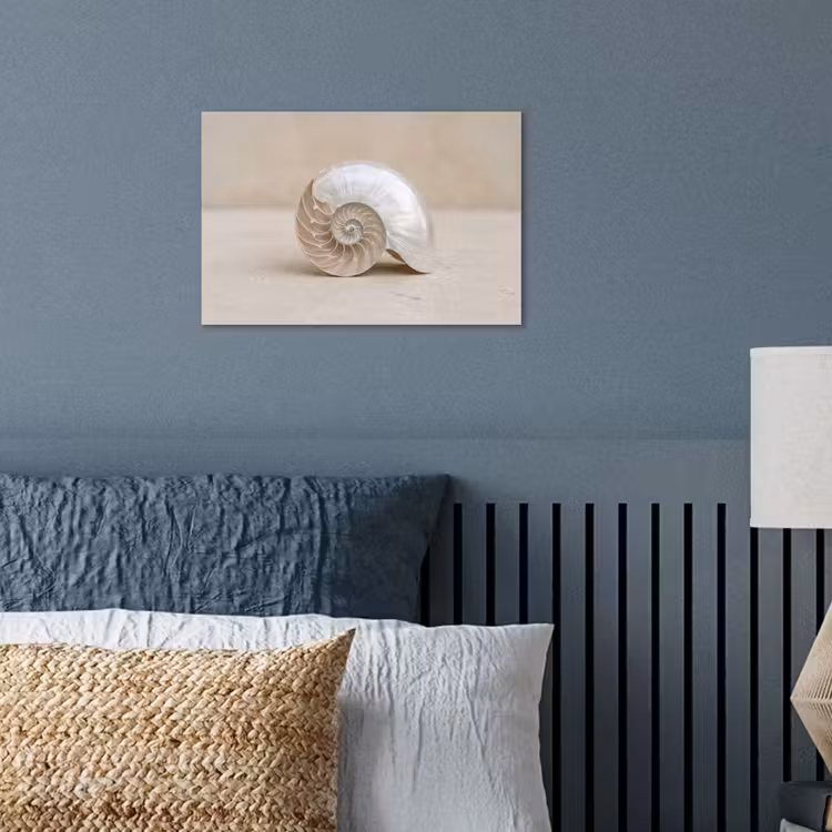 Poster - Schelp - Spiraal - Beige — 3