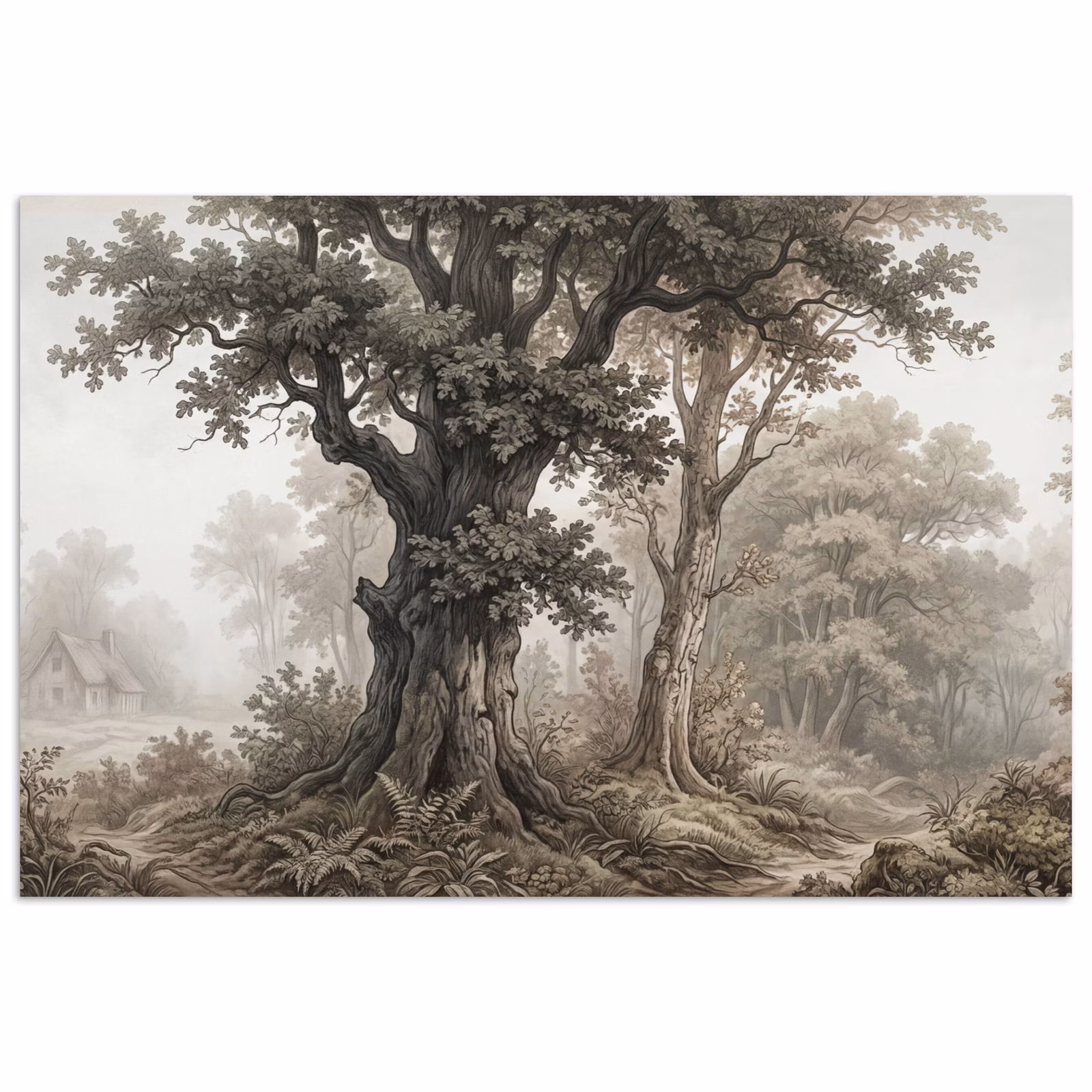 Poster - Natuur - Bos - Eik — 1