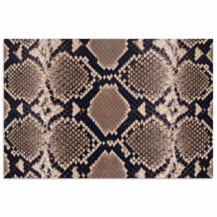Poster - Slangenprint - Python - Bruin — 1