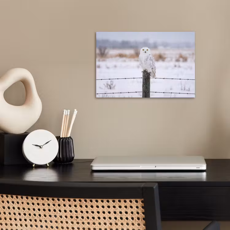Poster - Sneeuwuil - Hek - Sneeuw - Wit — 2