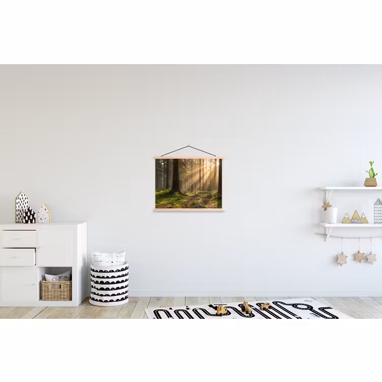 Schoolplaat - Bos - Zonlicht - Gras — 3