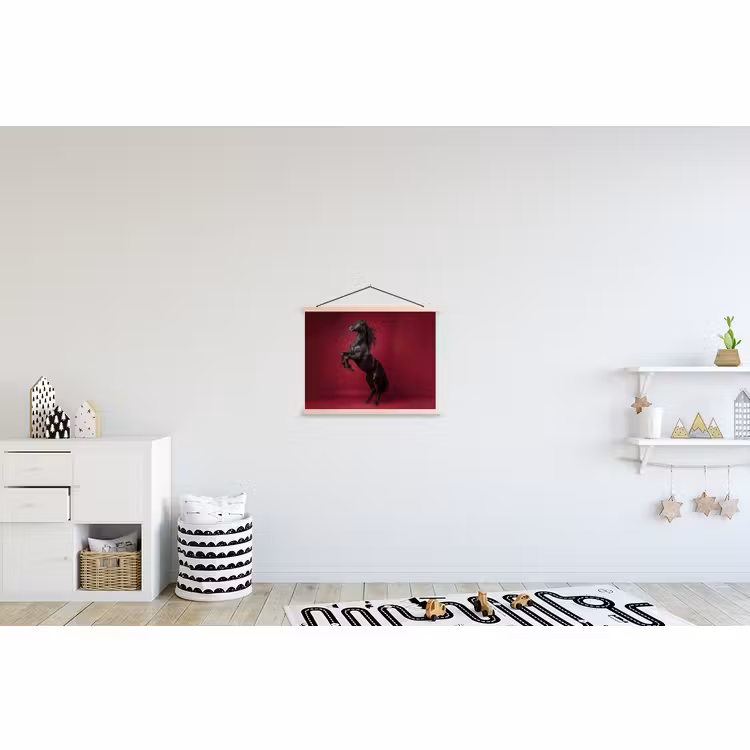 Schoolplaat - Hengst - Steigert - Rood — 3