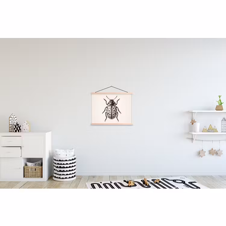Schoolplaat - Kever - Insect - Vintage — 3