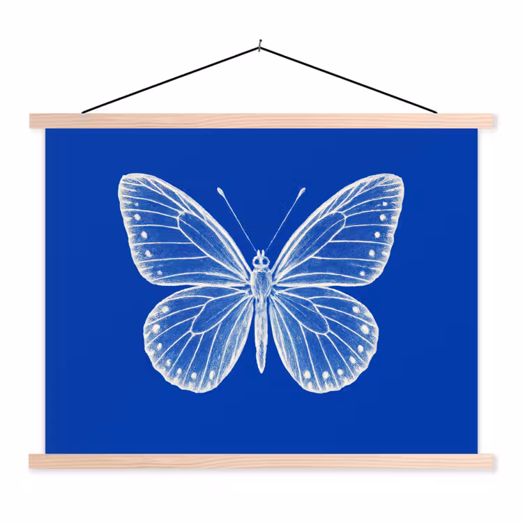 Schoolplaat - Vlinder - Wit - Getekend - Stippen — 1