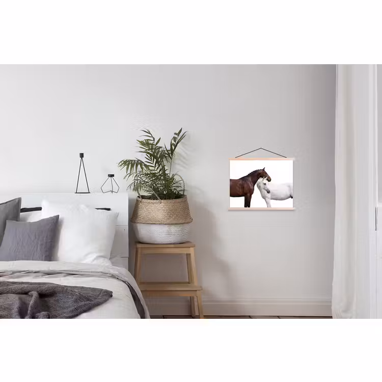 Schoolplaat - Paard - Modern - Balans — 2