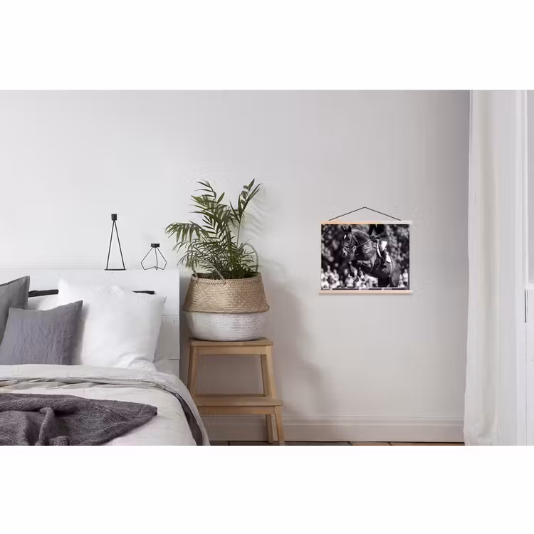 Schoolplaat - Springen - Paard - Zwart - Wit — 2