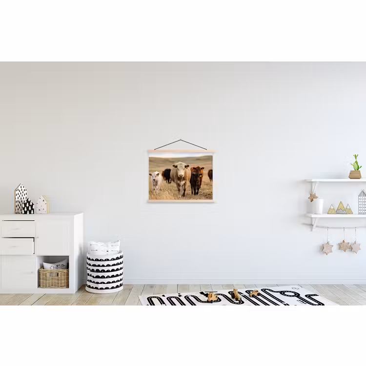 Schoolplaat - Runderen - Kudde - Landschap - Weide - Rustig — 3
