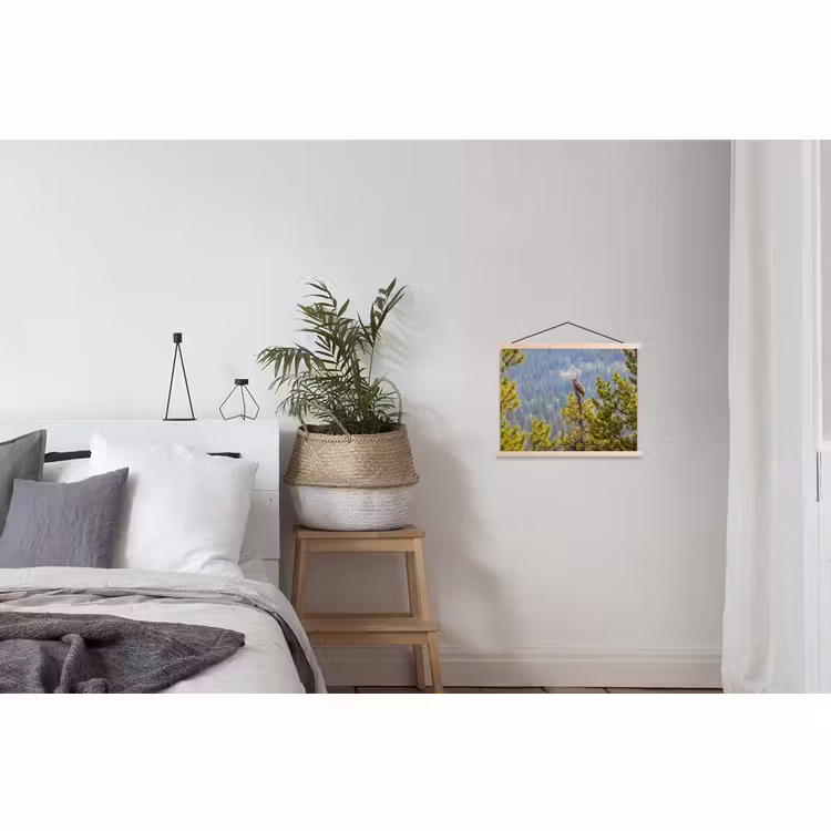 Schoolplaat - Uil - Oehoe - Bomen - Natuur — 2