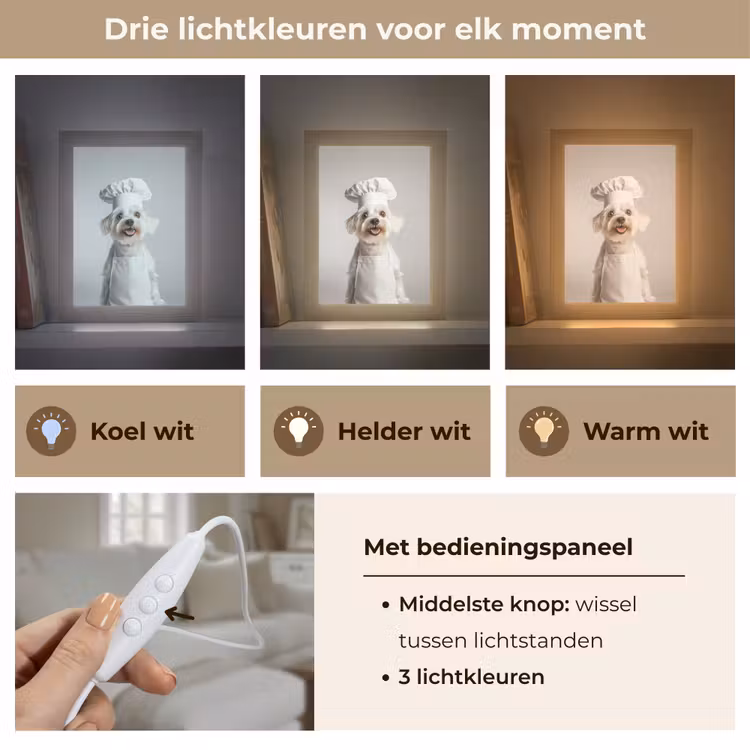Tafellamp - Hond - Wit - Kok — 6