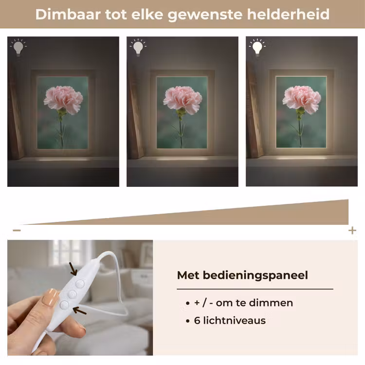 Tafellamp - Anjer - Roze - Bloemblaadjes — 8
