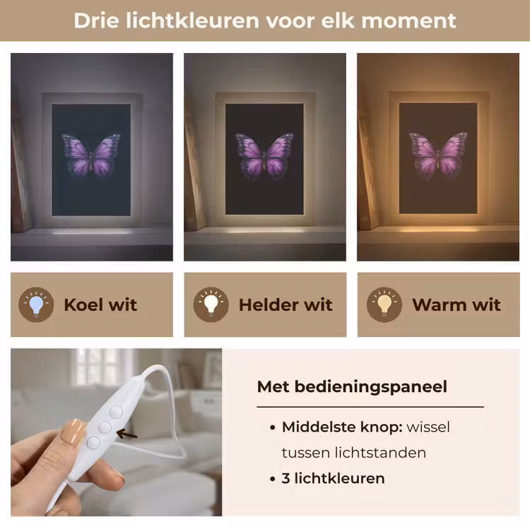 Tafellamp - Vlinder - Paars - Levendig — 6
