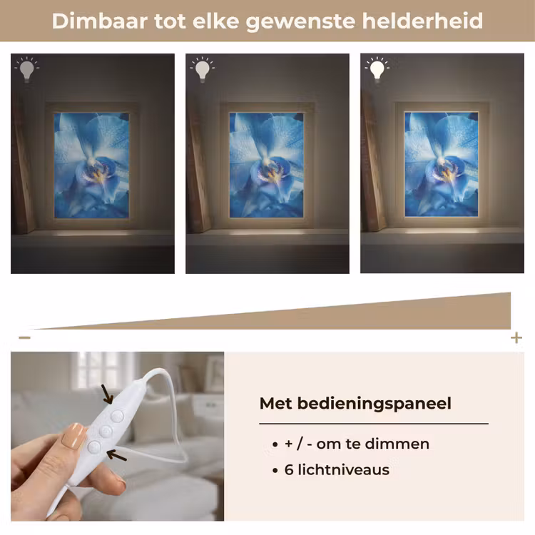 Tafellamp - Blauw - Orchidee - Elegeant — 8