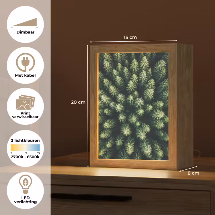 Tafellamp - Bomen - Naaldwoud - Structuur — 7