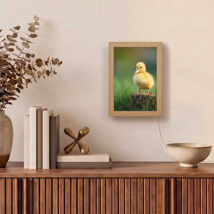 Tafellamp - Kuiken - Eend - Geel - Gras — 4