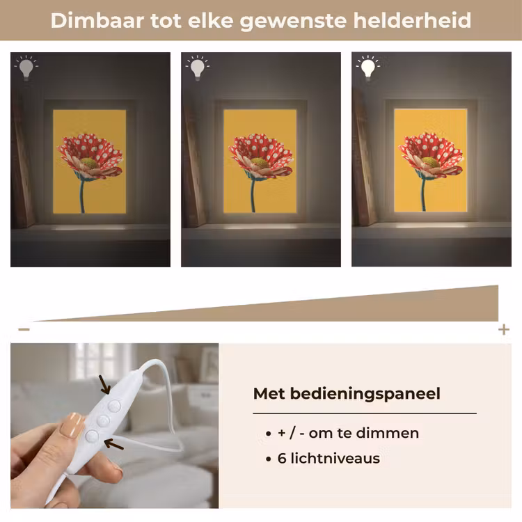 Tafellamp - Bloem - Rood - Stippen — 8
