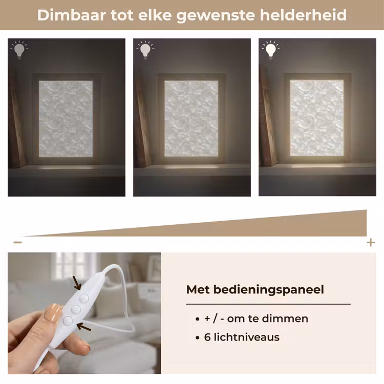 Tafellamp - Parelmoerglans - Wit - Schelp — 8