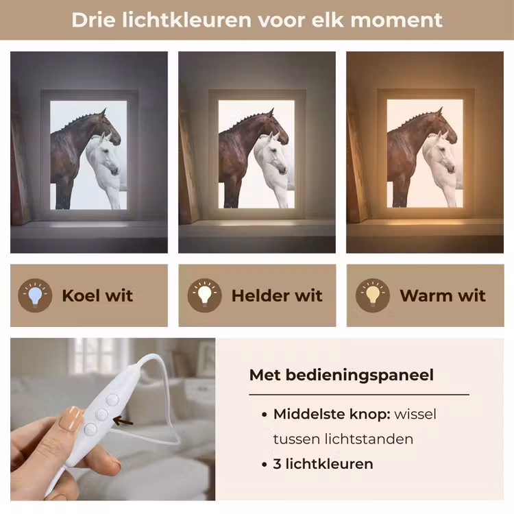 Tafellamp - Paard - Modern - Balans — 6