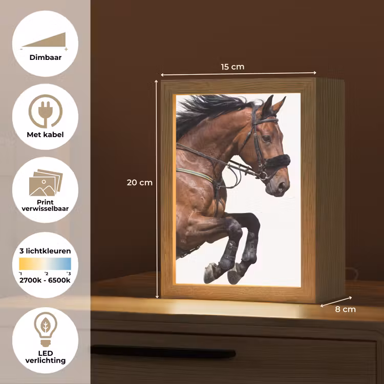 Tafellamp - Paard - Springen - Modern — 7
