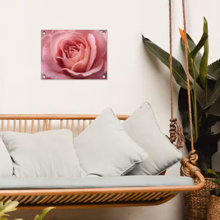 Tuinposter - Roze - Roos - Romantisch — 5