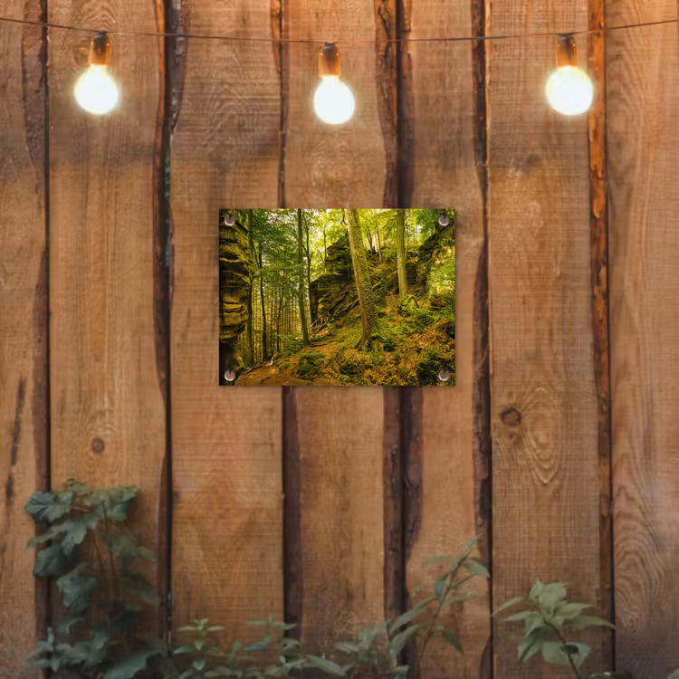 Tuinposter - Bosrijke rotsformatie — 2