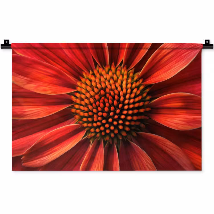 Wandkleed - Close up - Bloem- Rood — 1