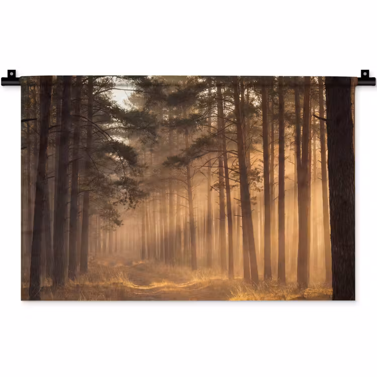 Wandkleed - Bos - Mist - Zonlicht — 1