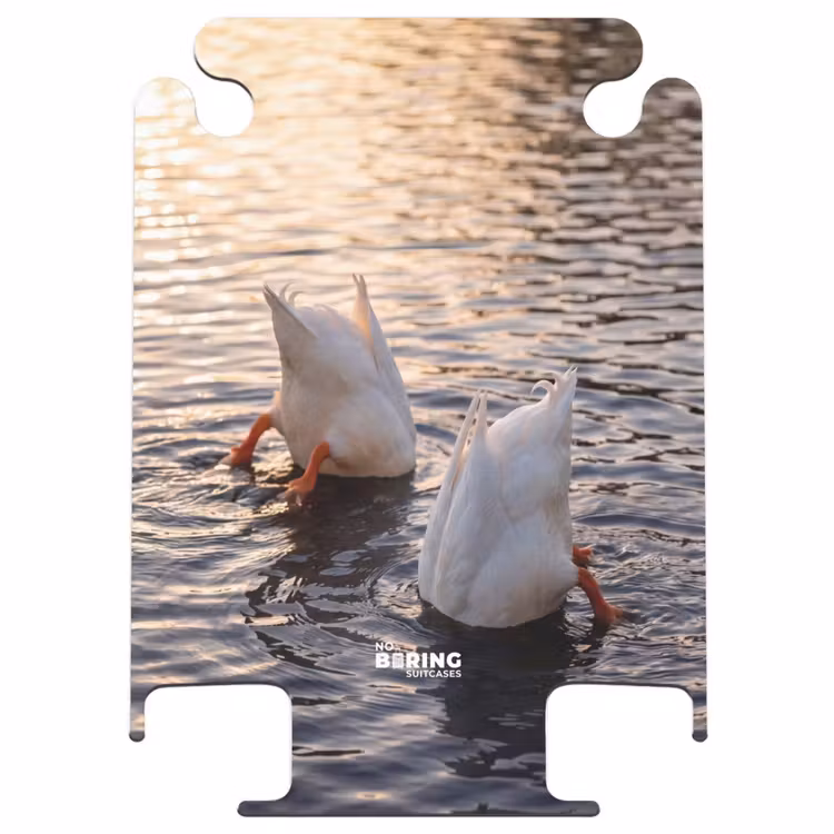 CaseSwap - Eenden - Water - Natuur — 1